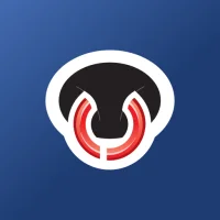 Good Bulls